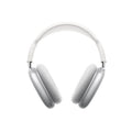 AirPods Pro Max - grey